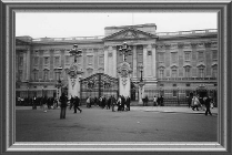 005.gif (157762 byte)