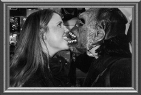 026.gif (235444 byte)