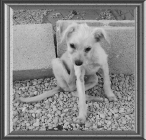 049.gif (106953 byte)